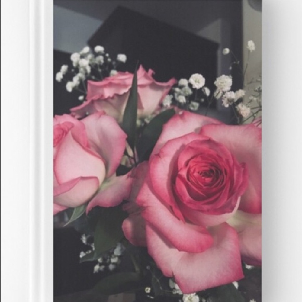 Pink rose collection